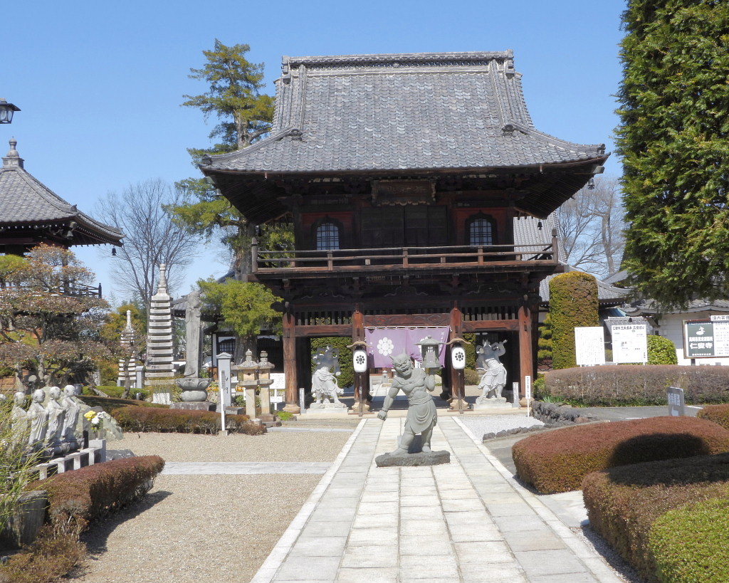仁叟寺の五輪桜_c0305565_17433304.jpg