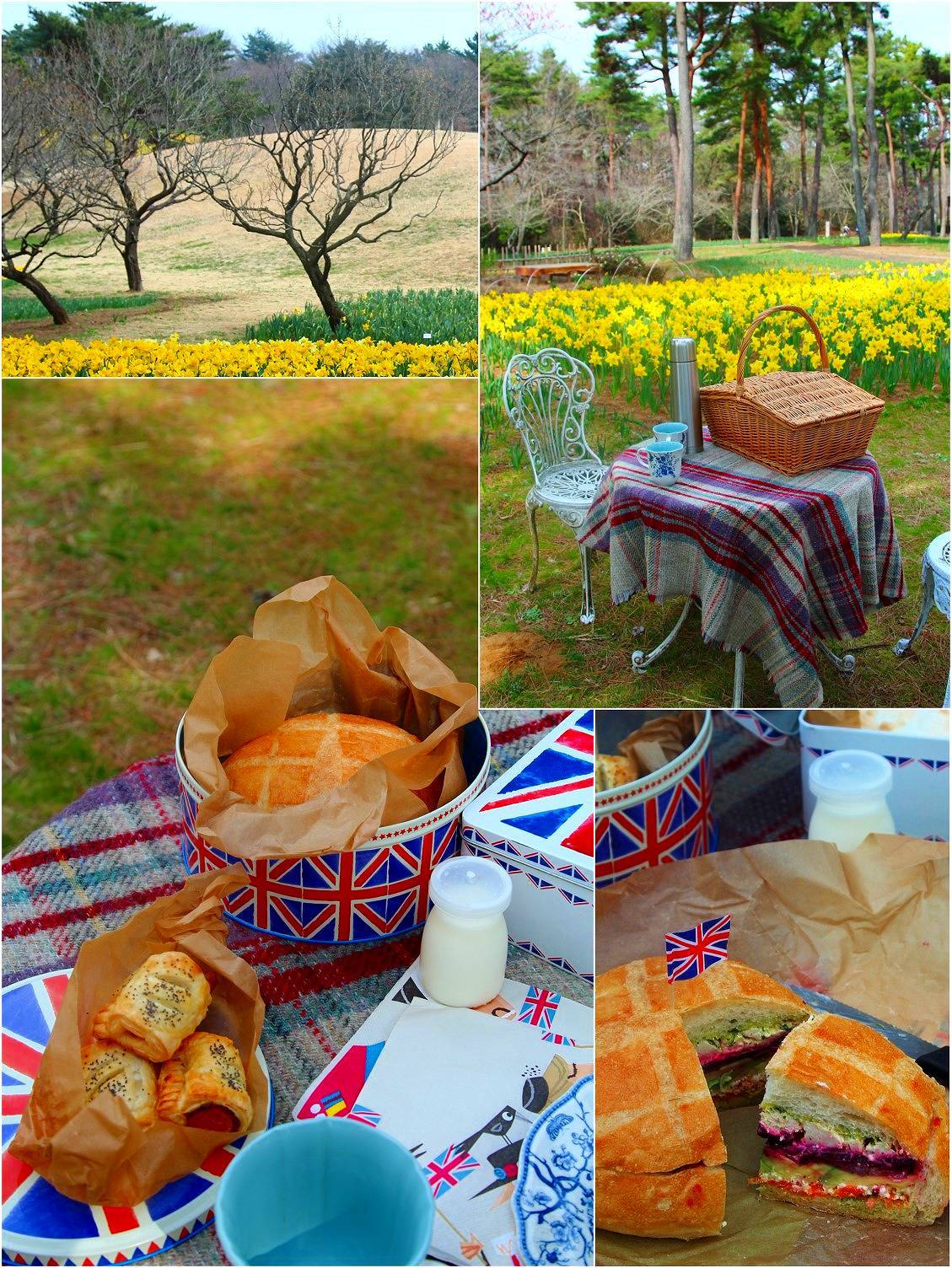 Daffodil picnic_a0107981_11441318.jpg