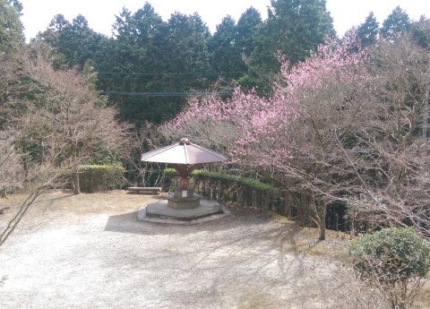 ◆能勢の妙見山へ・・・妙見の森をハイキング_e0154682_23025654.jpg