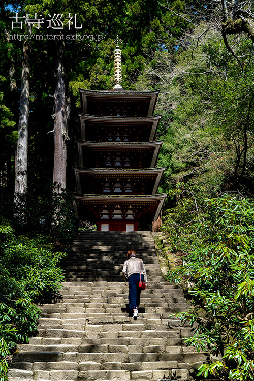 古寺巡礼 ~女人高野 室生寺~_d0039493_20221159.jpg