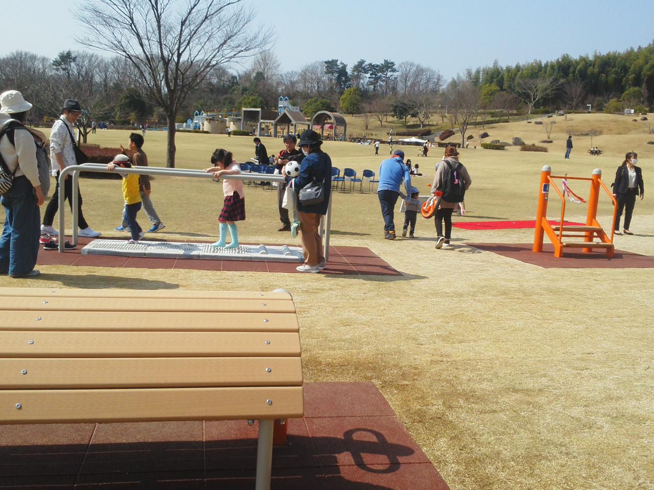 21世紀の森公園の健康遊具の完成_e0068696_821689.jpg