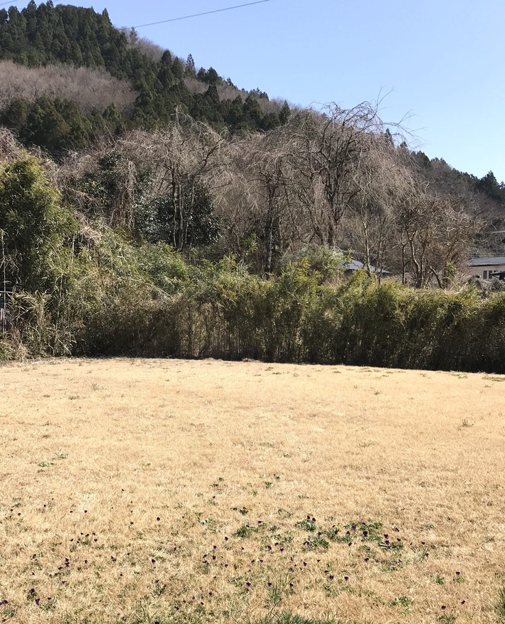 宮ヶ瀬ブルーと草抜きと山ごはん_c0212604_1435719.jpg