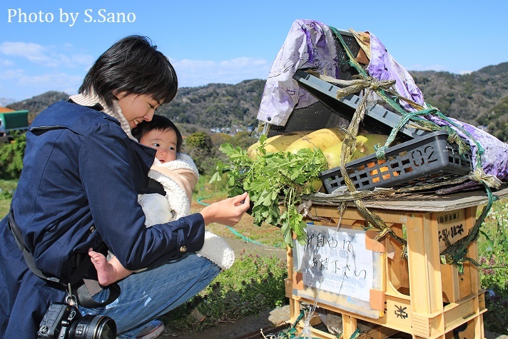 三浦半島の里山(2020年3月)~みー坊の里山あそび~_b0348205_22172839.jpg