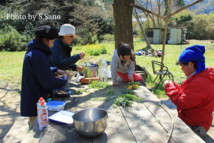三浦半島の里山(2020年3月)~みー坊の里山あそび~_b0348205_22185843.jpg