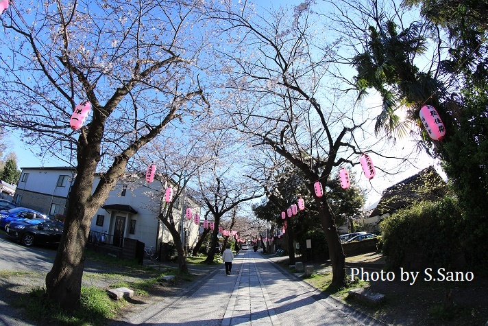 1年ぶりの称名寺(2020年3月)_b0348205_23081748.jpg