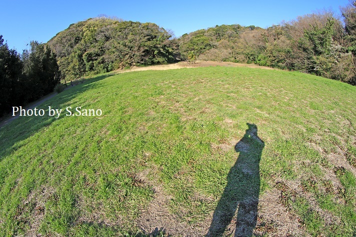 1年ぶりの称名寺(2020年3月)_b0348205_23085624.jpg