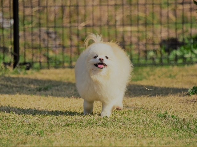 先が見えない不安_d0360206_01054895.jpg