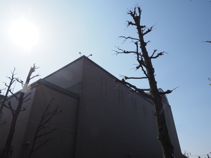 佐伯区民文化センター&五日市中央公園_c0116915_00075169.jpg