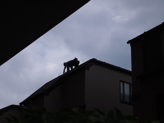 日頃観ること出来ない屋根大丈夫ですか?_a0214329_18330482.jpg