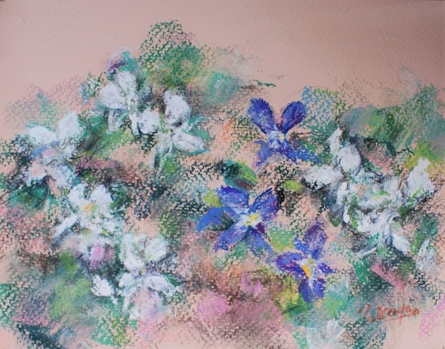 スミレの花_c0236929_17294605.jpg