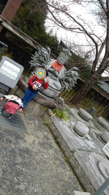 第6番 壷阪寺 南法華寺_c0236632_16412485.jpg