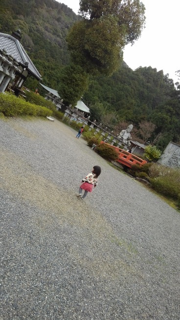 第6番 壷阪寺 南法華寺_c0236632_16444661.jpg