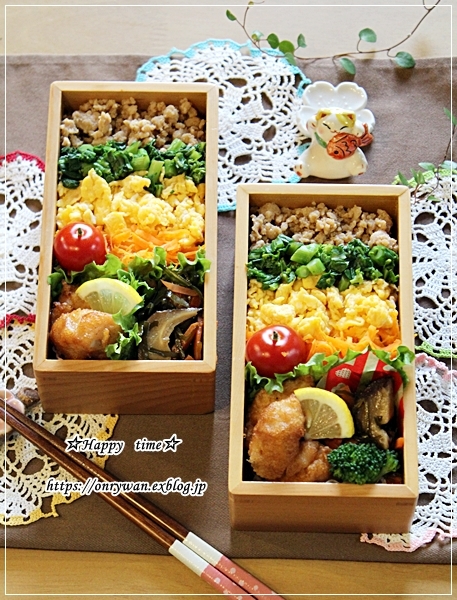 4色そぼろ弁当と今夜はハンバぁーグぅー♪_f0348032_16403552.jpg