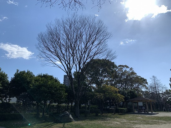快晴気温は12℃_c0327752_14543187.jpg