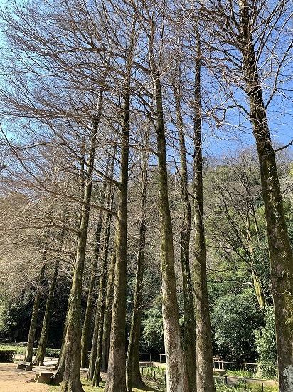 快晴気温は12℃_c0327752_14545700.jpg
