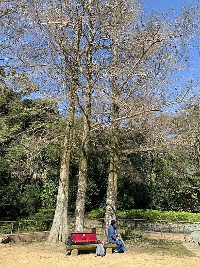 快晴気温は12℃_c0327752_14553351.jpg