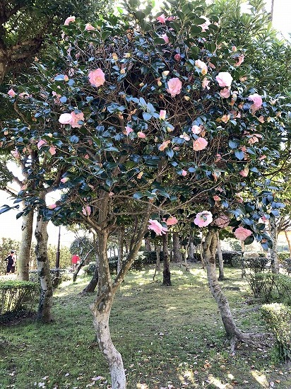 快晴気温は12℃_c0327752_15104298.jpg