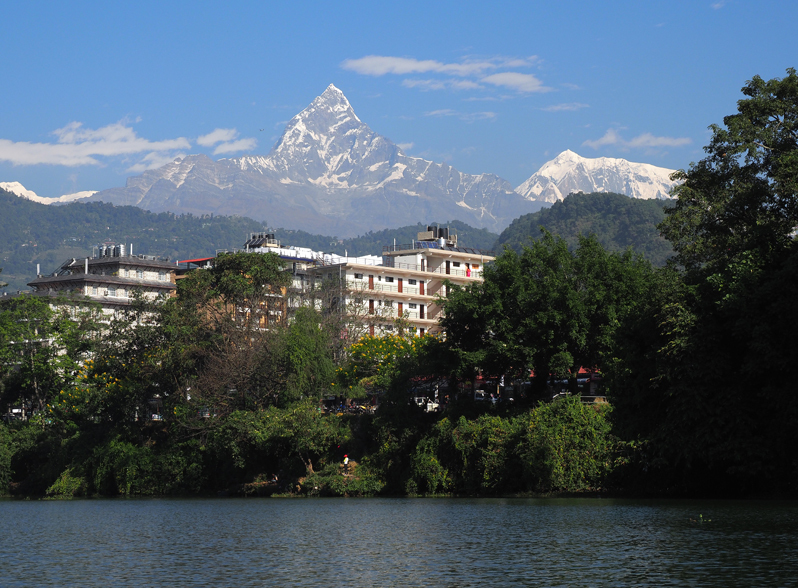 フェワ湖　NHJ Zenith Defy Extreme Jungle Edition – Element iN Time NYC