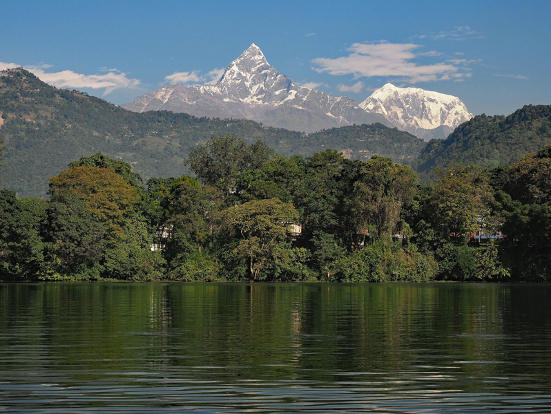 フェワ湖　NHJ Zenith Defy Extreme Jungle Edition – Element iN Time NYC