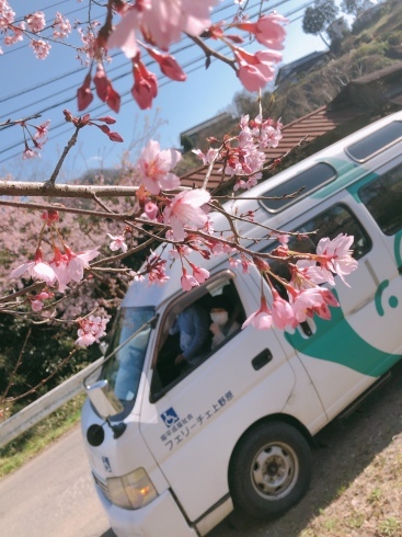 お花見ドライブ🚐_d0178056_22351114.jpeg