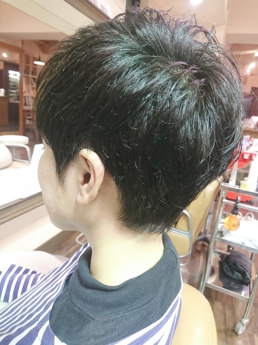 オーガニックカラー チェスナットブラウン ショートスタイル!!_a0272765_17094940.jpg