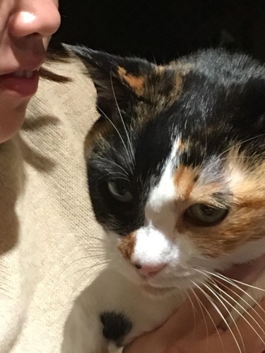 めーちゃん_a0064067_14124779.jpeg