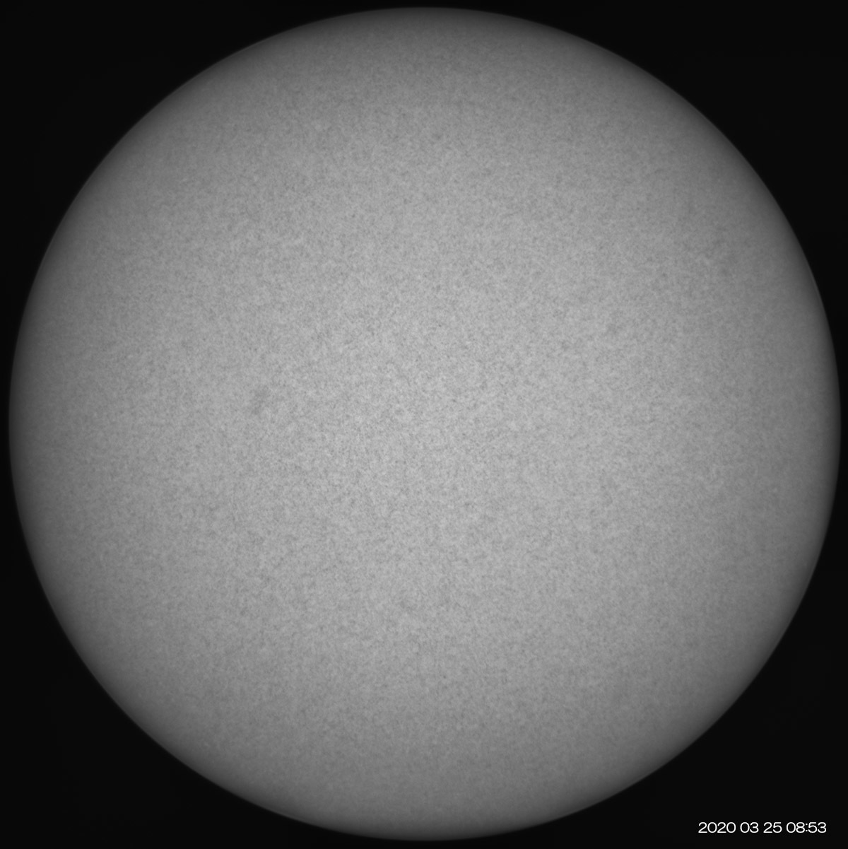 3月25日の太陽_e0174091_15432195.jpg