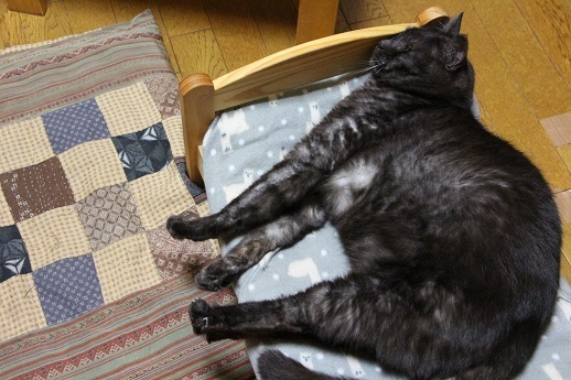 毎度ありがとうございます。_a0333195_22505110.jpg