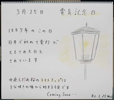 照_b0364195_11573550.jpg