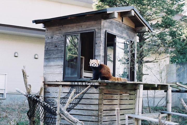 3/9 千葉市動物公園① 5枚_b0016600_23474573.jpg