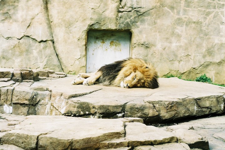 3/9 千葉市動物公園② 6枚_b0016600_2359718.jpg