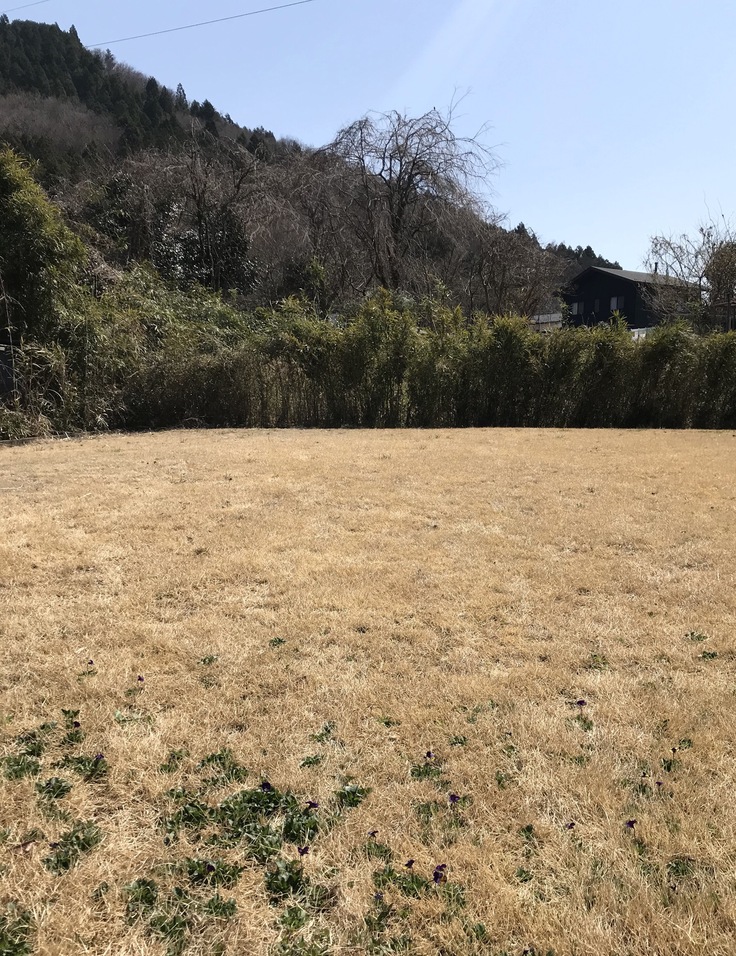 今日も草抜き&山ごはん。_c0212604_12503959.jpg