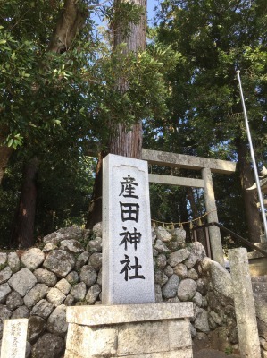 久しぶりの帰省（北山）_f0354314_23460832.jpeg