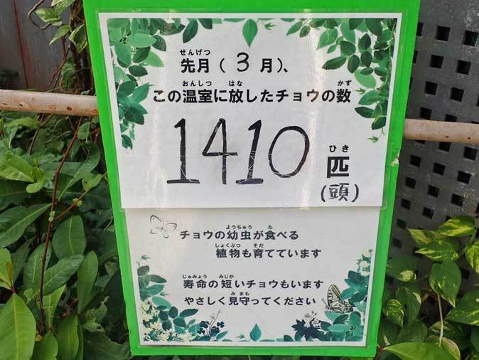 昆虫生態園 蝶の大乱舞 多摩動物公園 April 19 続々 動物園ありマス