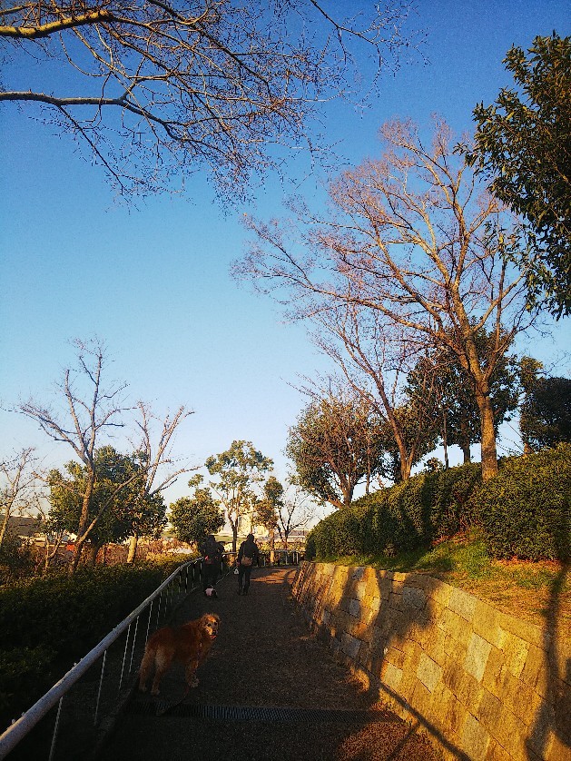 お花見してます🥰_a0098418_10224344.jpg