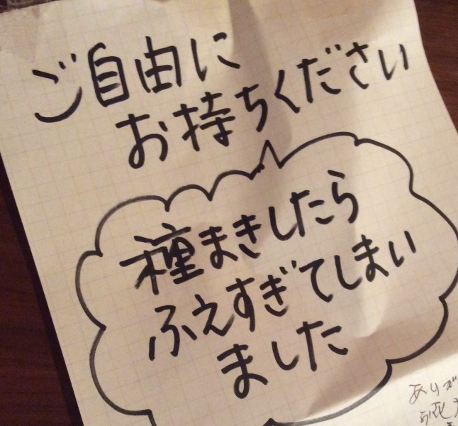 もらってくださいのビオラの苗 Yukkescrap