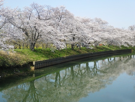 お金持ちになる必要はない_b0312424_13541935.jpg