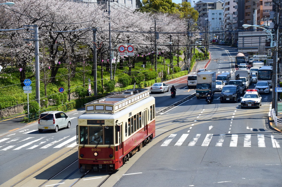 飛鳥山公園の桜_a0385725_23452063.jpg