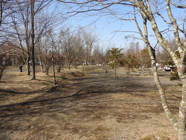 今週末の天気と気温(2020年3月26日)_b0174425_18460166.jpg