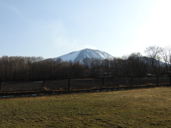 今週末の天気と気温(2020年3月26日)_b0174425_19263312.jpg