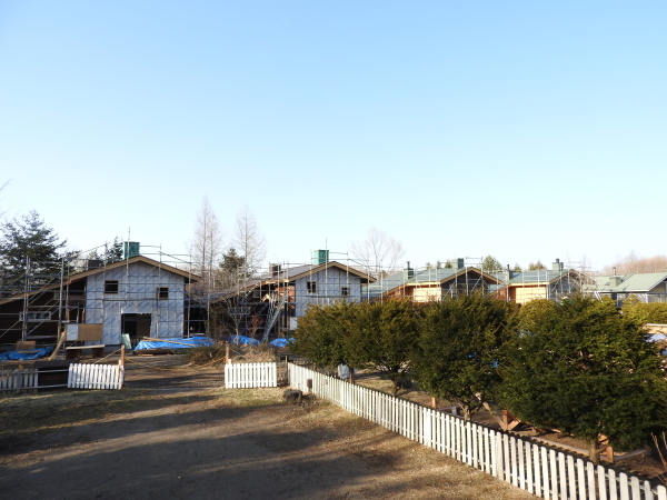 今週末の天気と気温(2020年3月26日)_b0174425_20061428.jpg