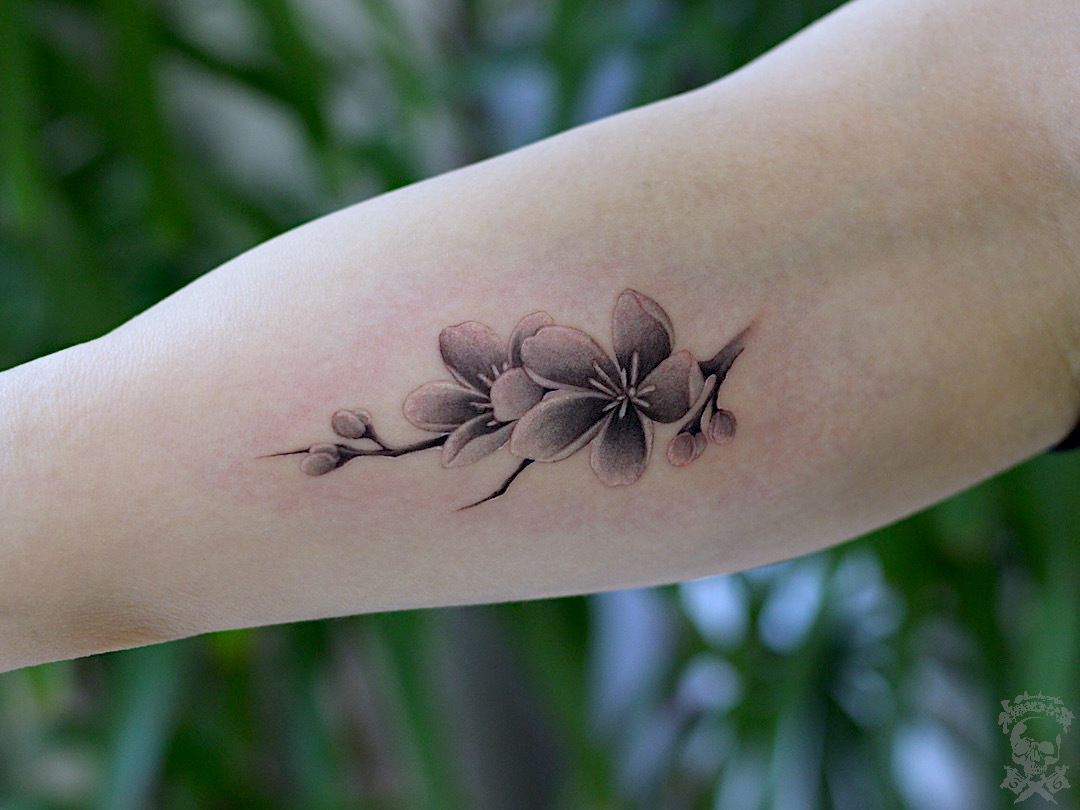 ワンポイントタトゥー 桜 彩躯術三十六房 Chamber36tattoostudio ワンポイントタトゥー 桜 彩躯術三十六房 Chamber36tattoostudio