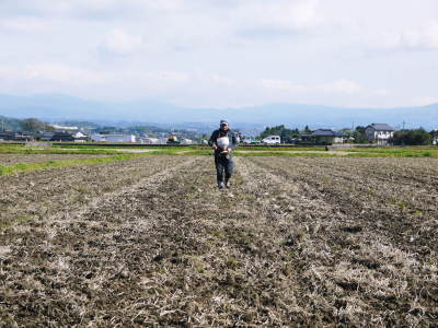 熊本県菊池市七城町の「砂田のこだわりれんげ米」残りわずか!ご注文はお急ぎ下さい‼_a0254656_16515718.jpg