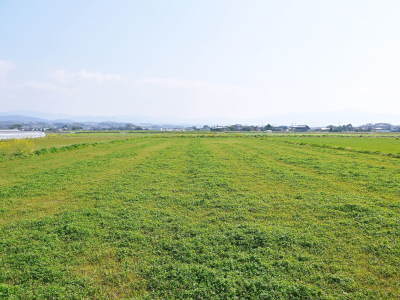 熊本県菊池市七城町の「砂田のこだわりれんげ米」残りわずか!ご注文はお急ぎ下さい‼_a0254656_16535072.jpg