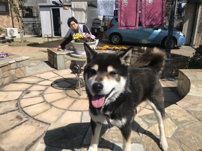 2週間のボーナス曜日_b0100062_12031278.jpeg