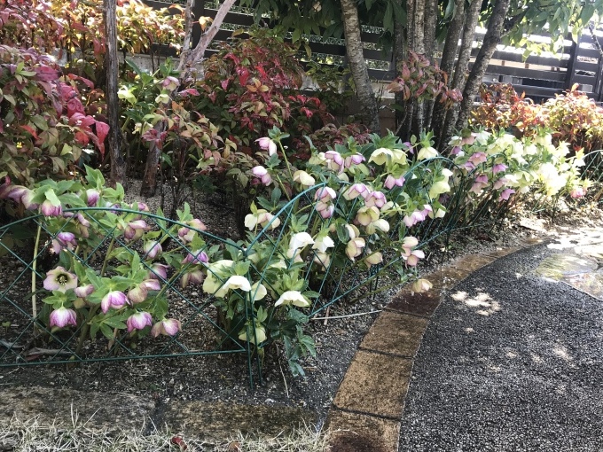 2週間のボーナス曜日_b0100062_12042187.jpeg