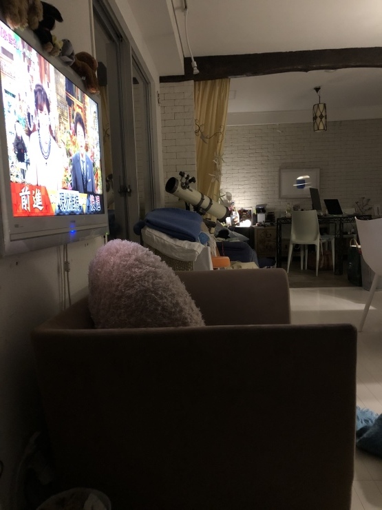 2020年3月26日　帰還断念_b0098584_20004904.jpeg