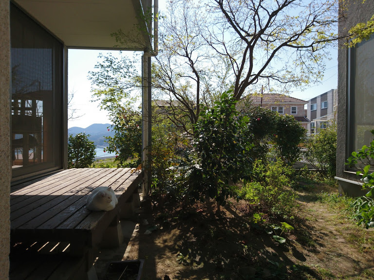 花冷え_f0197985_09384383.jpg