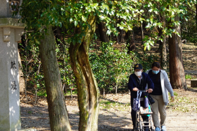 桜見学~地元の桜は最高です~_f0220087_01353102.jpg