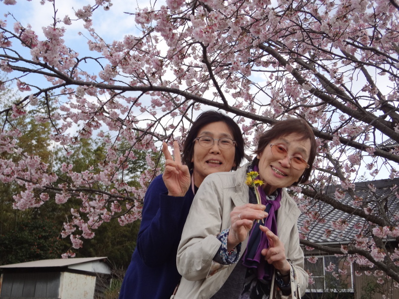 桜見学~地元の桜は最高です~_f0220087_01563627.jpg